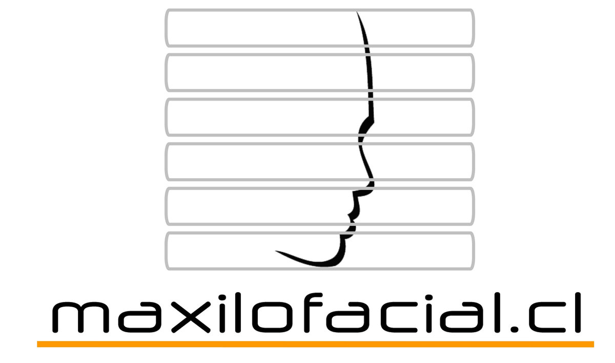 logofinalgrislisotrazos